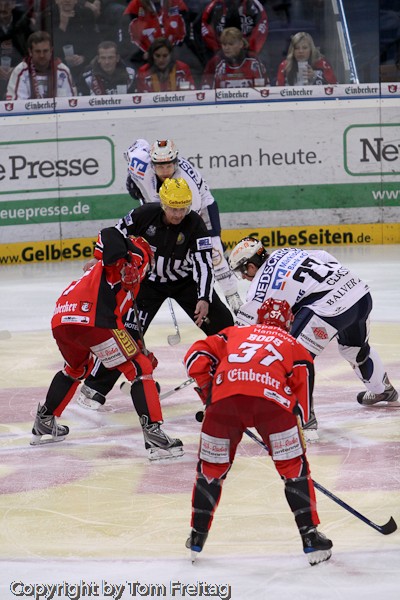 Scorpions 23 0109  009.jpg - Hannover Scorpions
